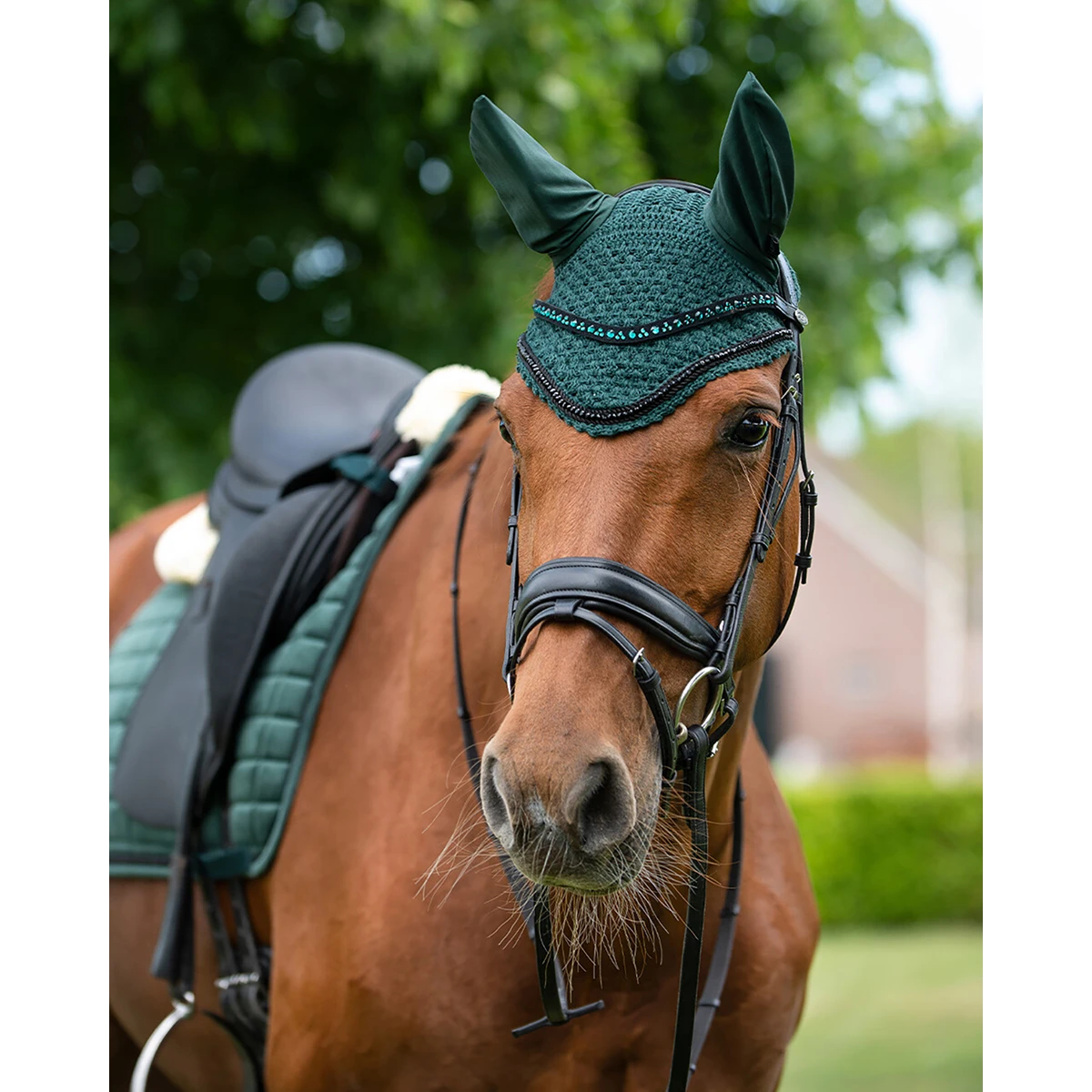 Oornetje QHP Astana Donkergroen - Afbeelding 5