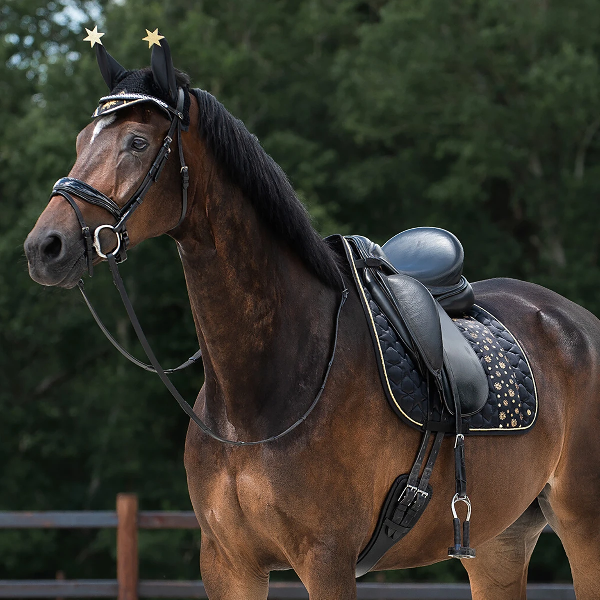 Oornetje QHP Celebrate Zwart - Afbeelding 3