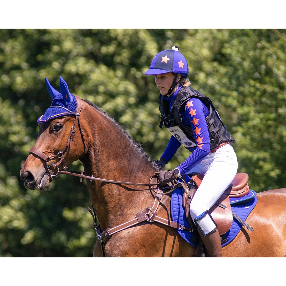 Oornetje QHP Eldorado Blauw - Afbeelding 2