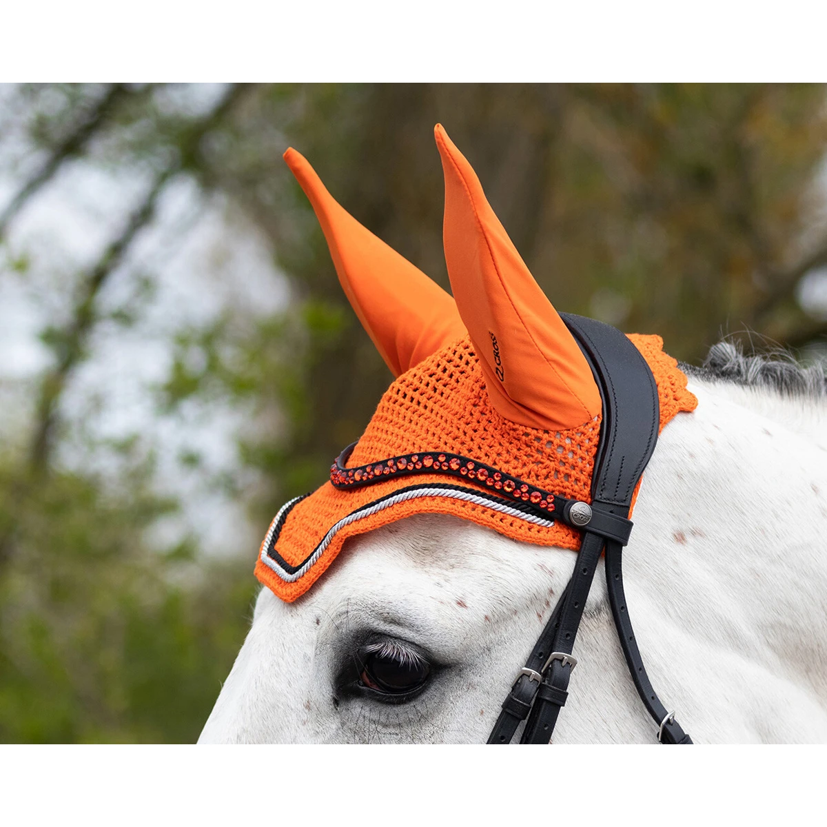 Oornetje QHP Eldorado Oranje - Afbeelding 2