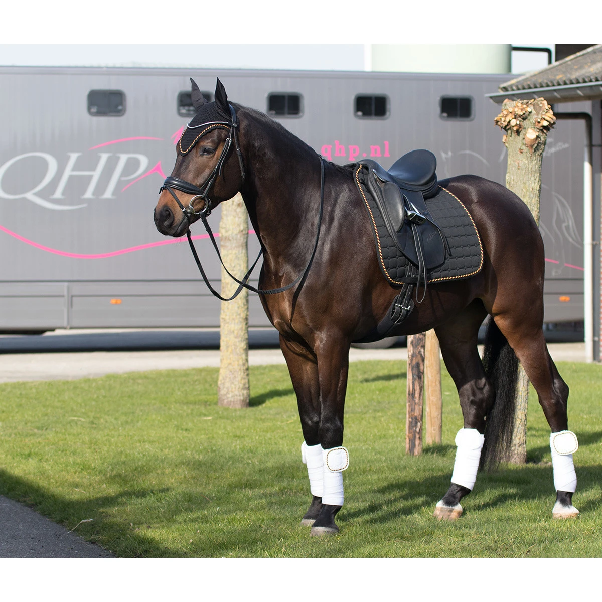 Oornetje QHP Flags Zwart-mix - Afbeelding 2