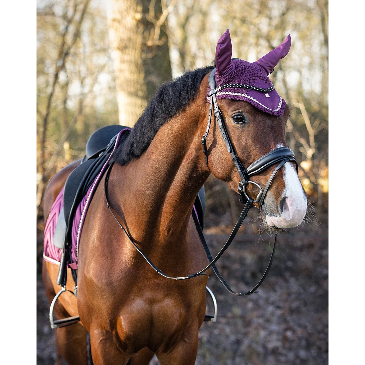 Oornetje QHP Menton Paars - Afbeelding 2