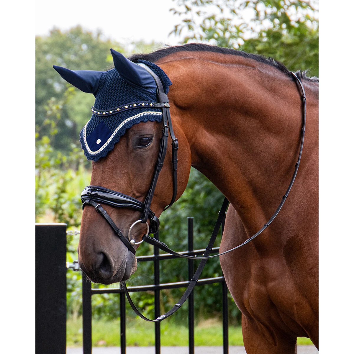 Oornetje QHP Orlando Donkerblauw - Afbeelding 2