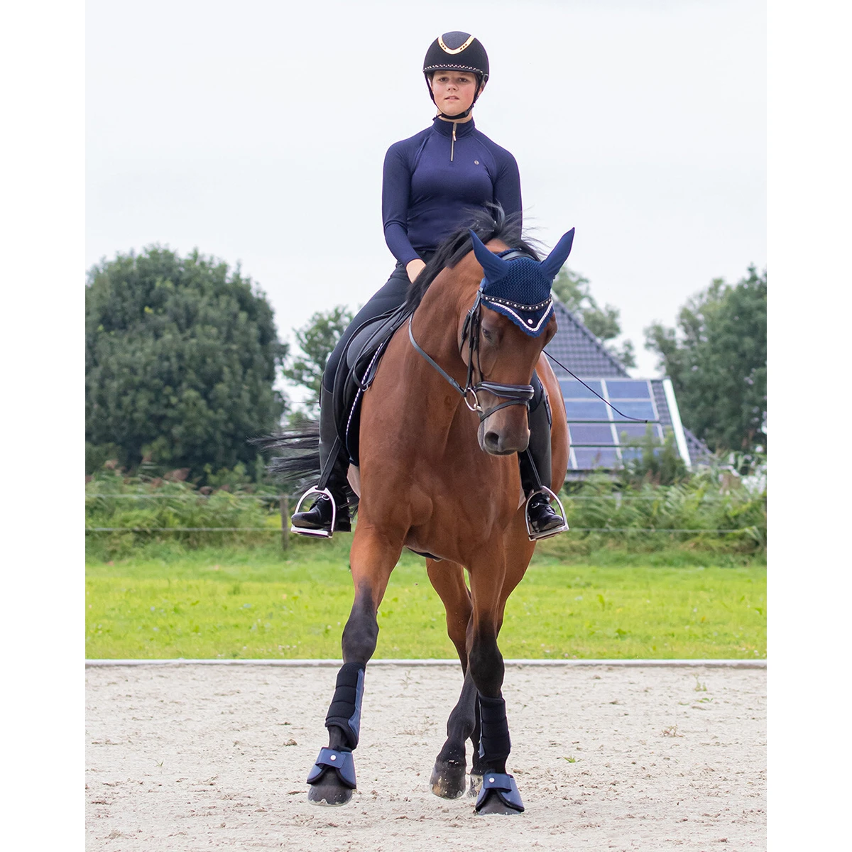 Oornetje QHP Orlando Donkerblauw - Afbeelding 4