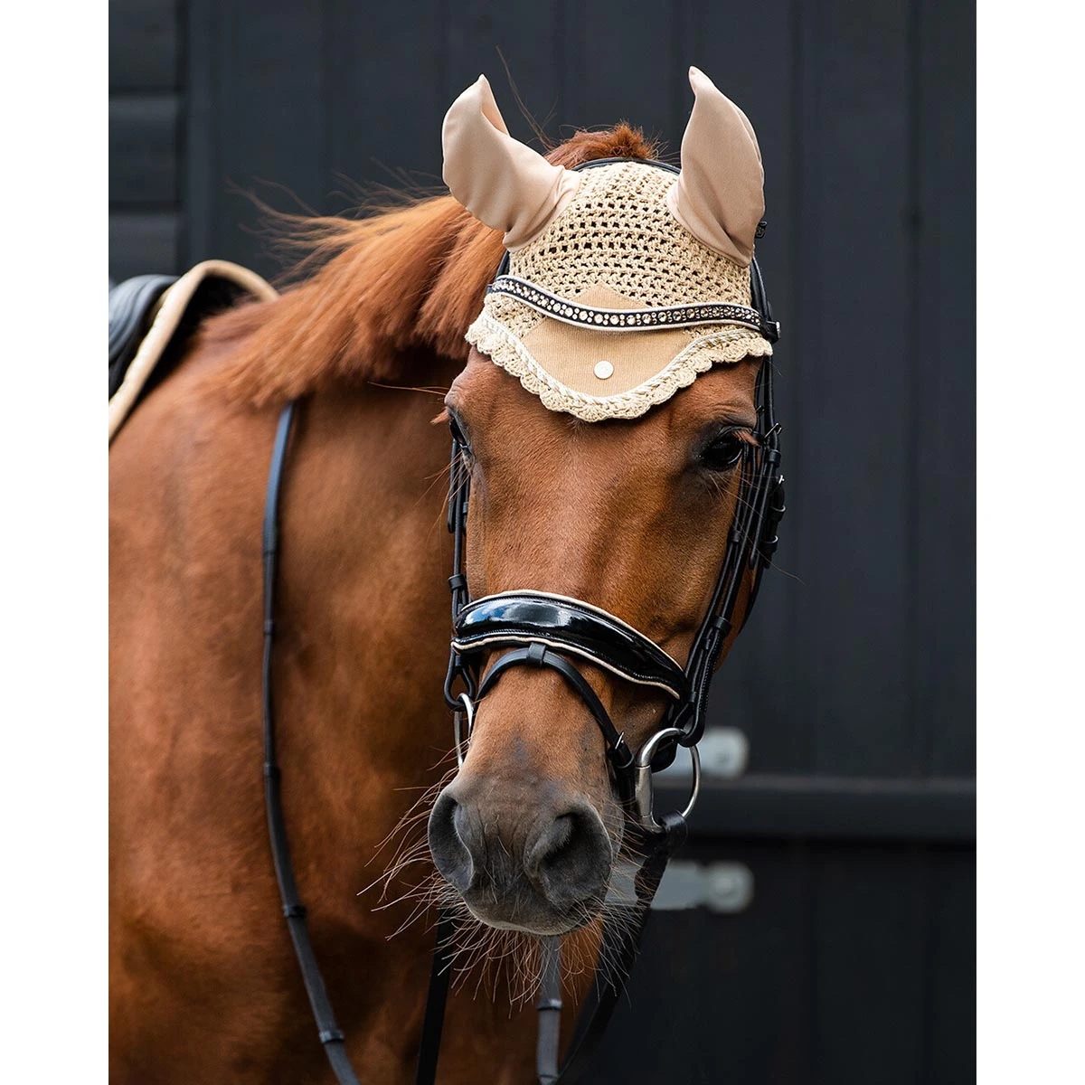 Oornetje QHP Orlando Lichtbruin - Afbeelding 2