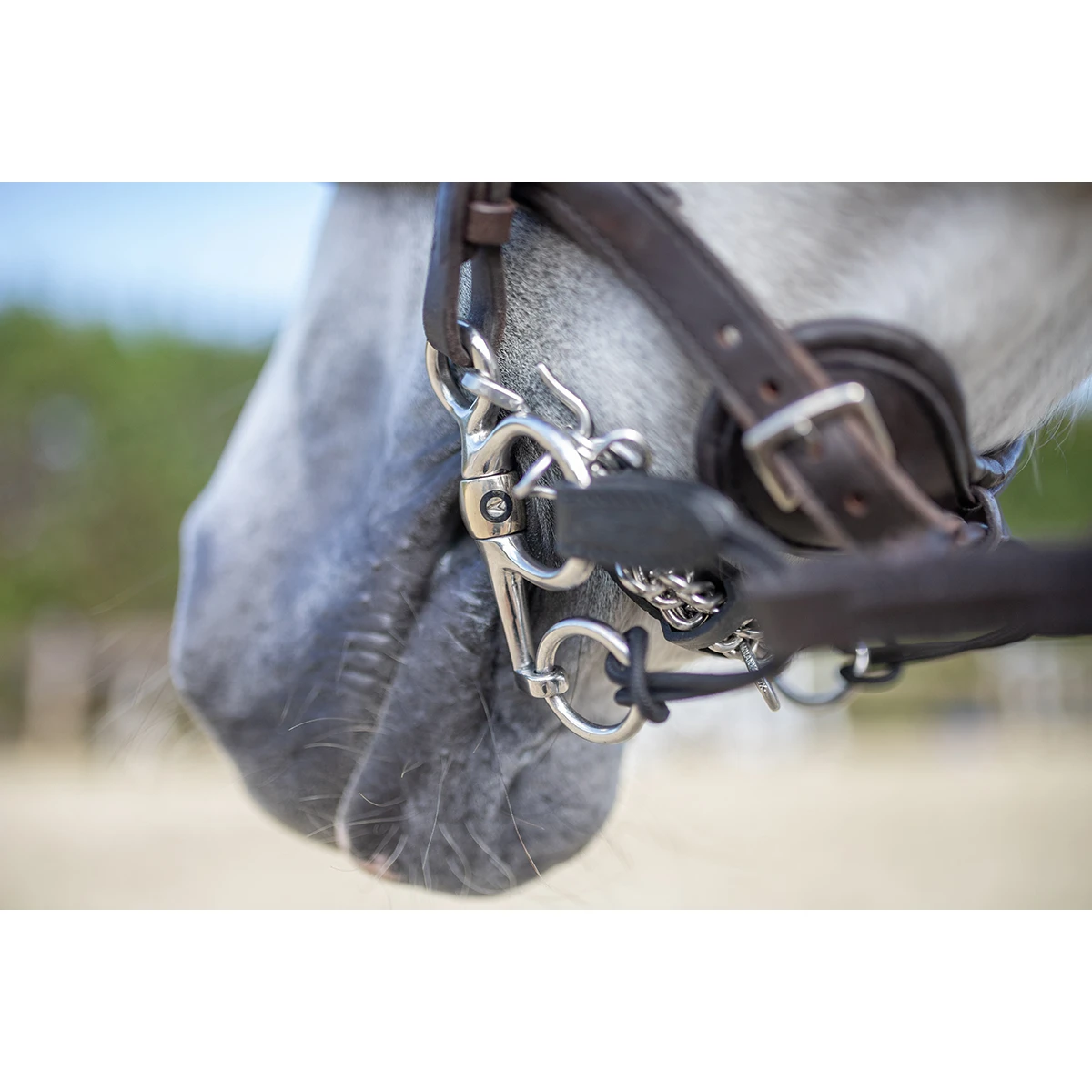 Pelham Riempjes Sprenger Zwart - Afbeelding 4