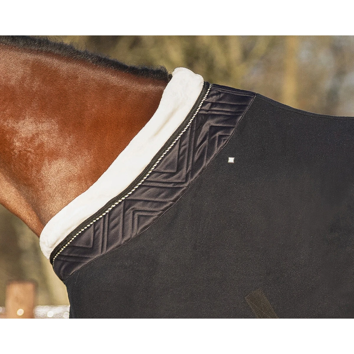 Showdeken QHP Menton Zwart - Afbeelding 2