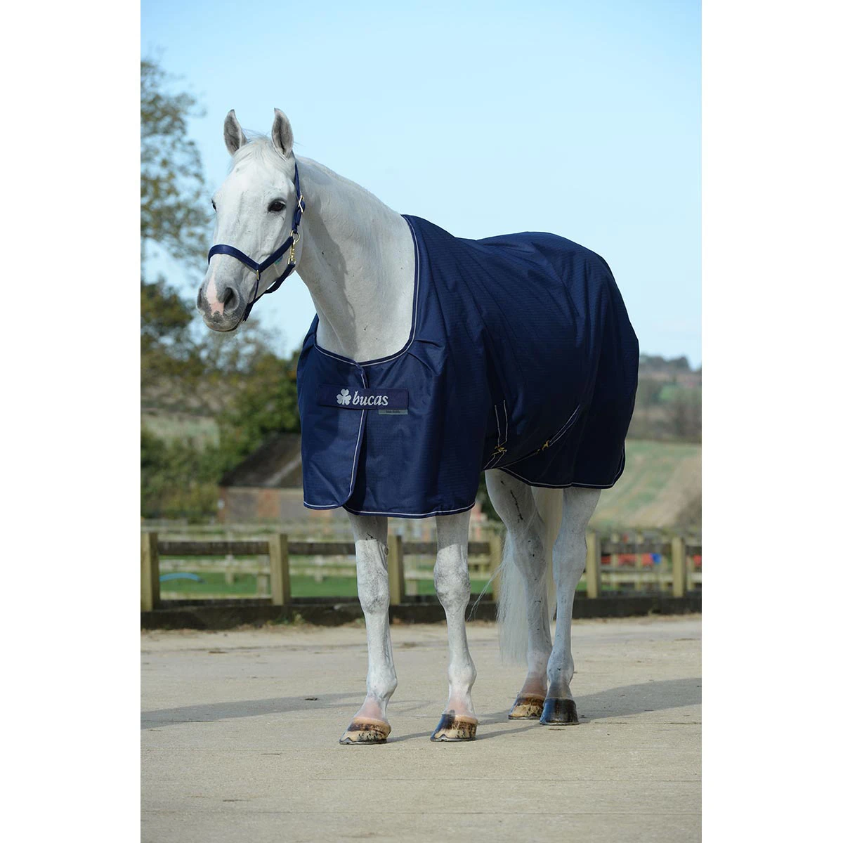 Staldeken Bucas Irish Extra 300gr Donkerblauw-zilver - Afbeelding 3