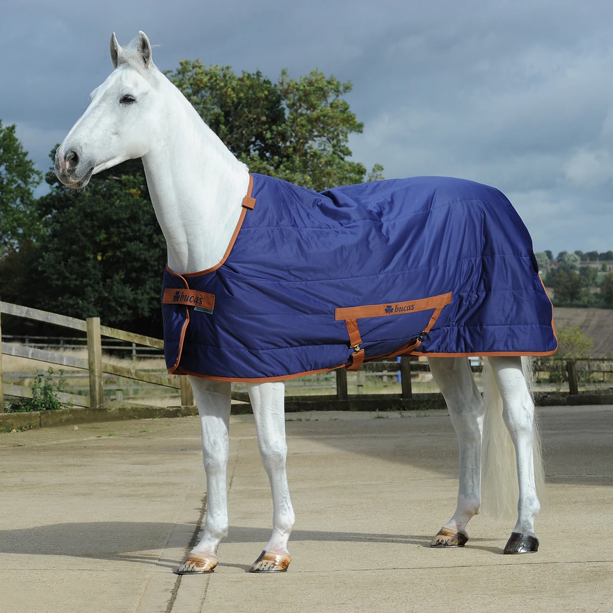 Staldeken Bucas Shamrock Quilt 150gr Donkerblauw - Afbeelding 2