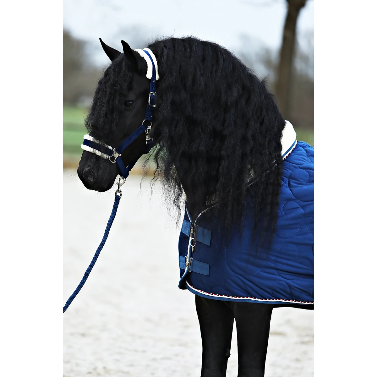 Staldeken Friesian Horse By Horsegear 160gr Donkerblauw - Afbeelding 8