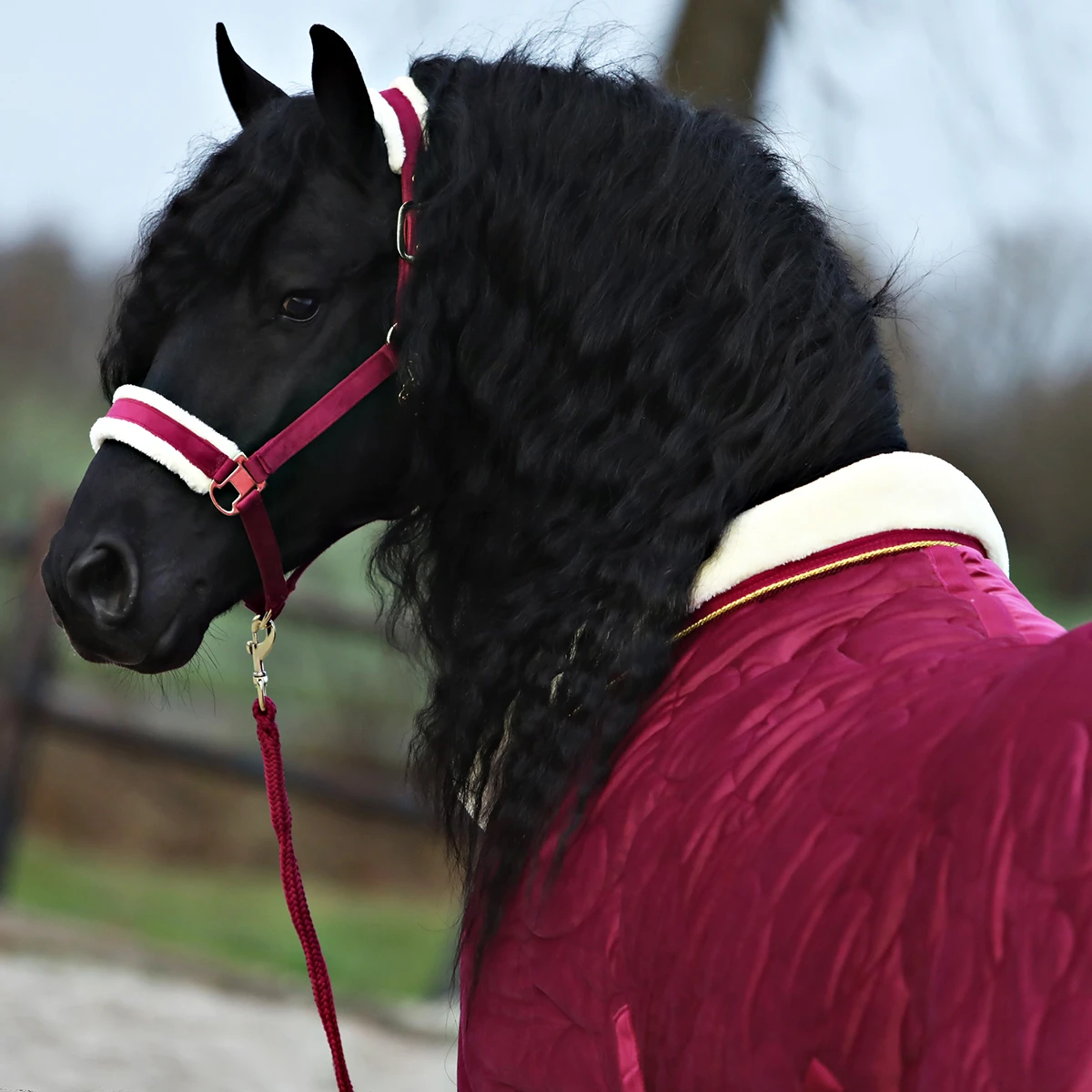 Staldeken Friesian Horse By Horsegear 160gr Donkerrood - Afbeelding 2