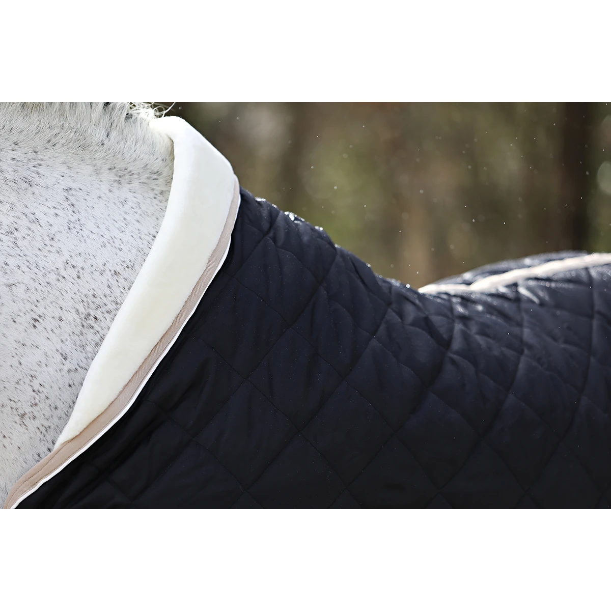 Staldeken Horsegear Lodix 150gr Black-beige - Afbeelding 5