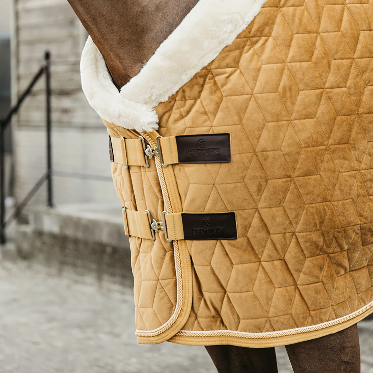 Staldeken Kentucky Velvet 160gr Donkergeel - Afbeelding 2