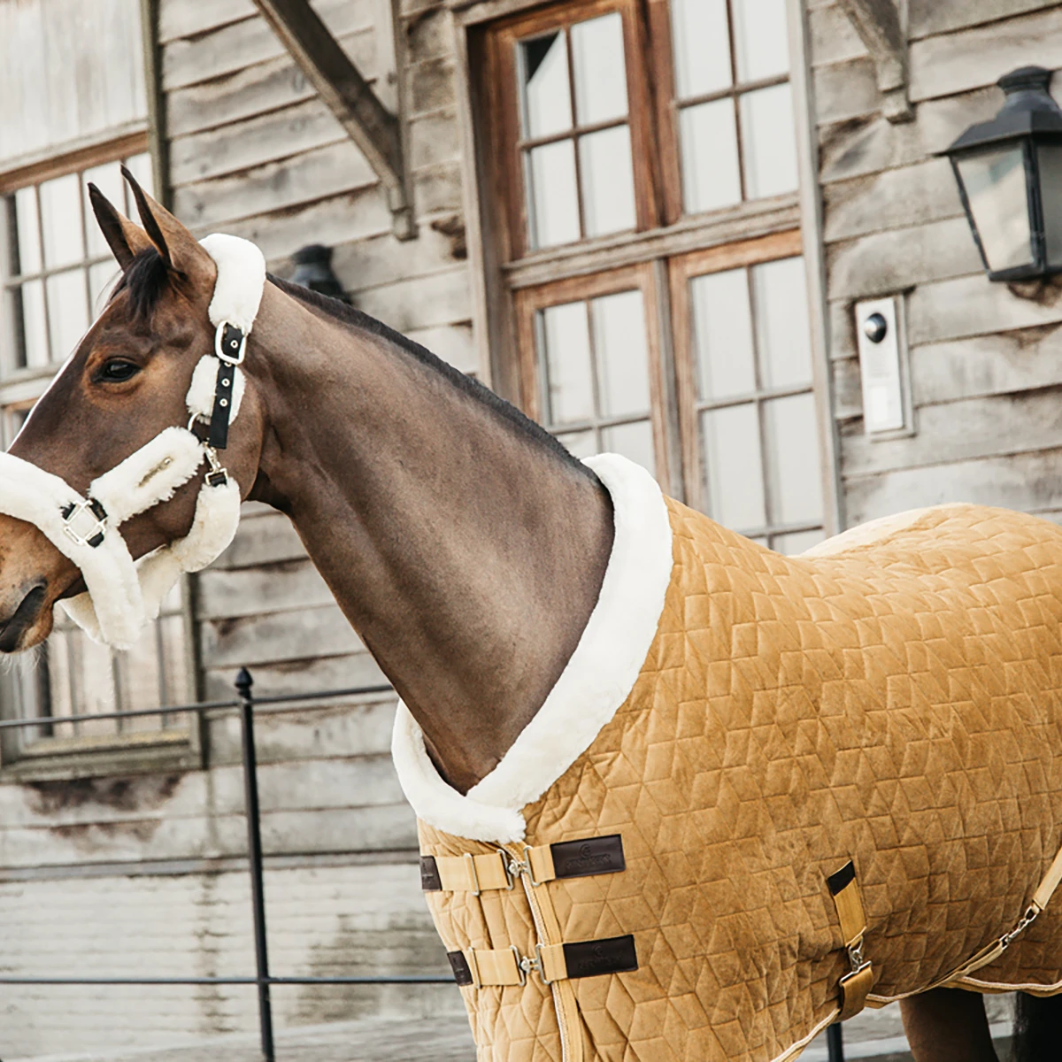 Staldeken Kentucky Velvet 160gr Donkergeel - Afbeelding 7