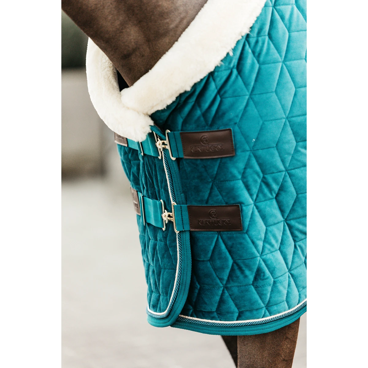 Staldeken Kentucky Velvet 160gr Groen - Afbeelding 2