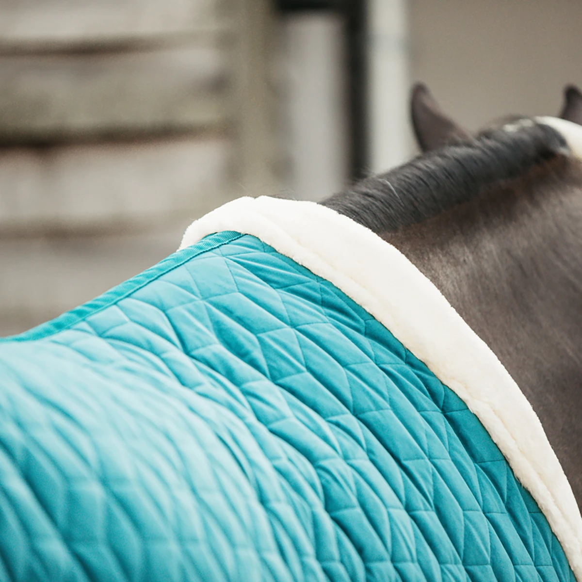 Staldeken Kentucky Velvet 160gr Groen - Afbeelding 3