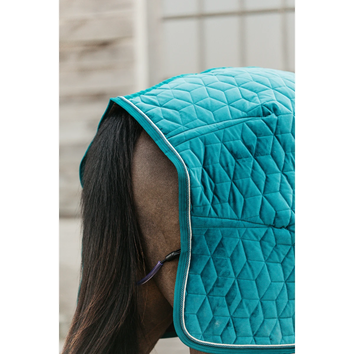 Staldeken Kentucky Velvet 160gr Groen - Afbeelding 5