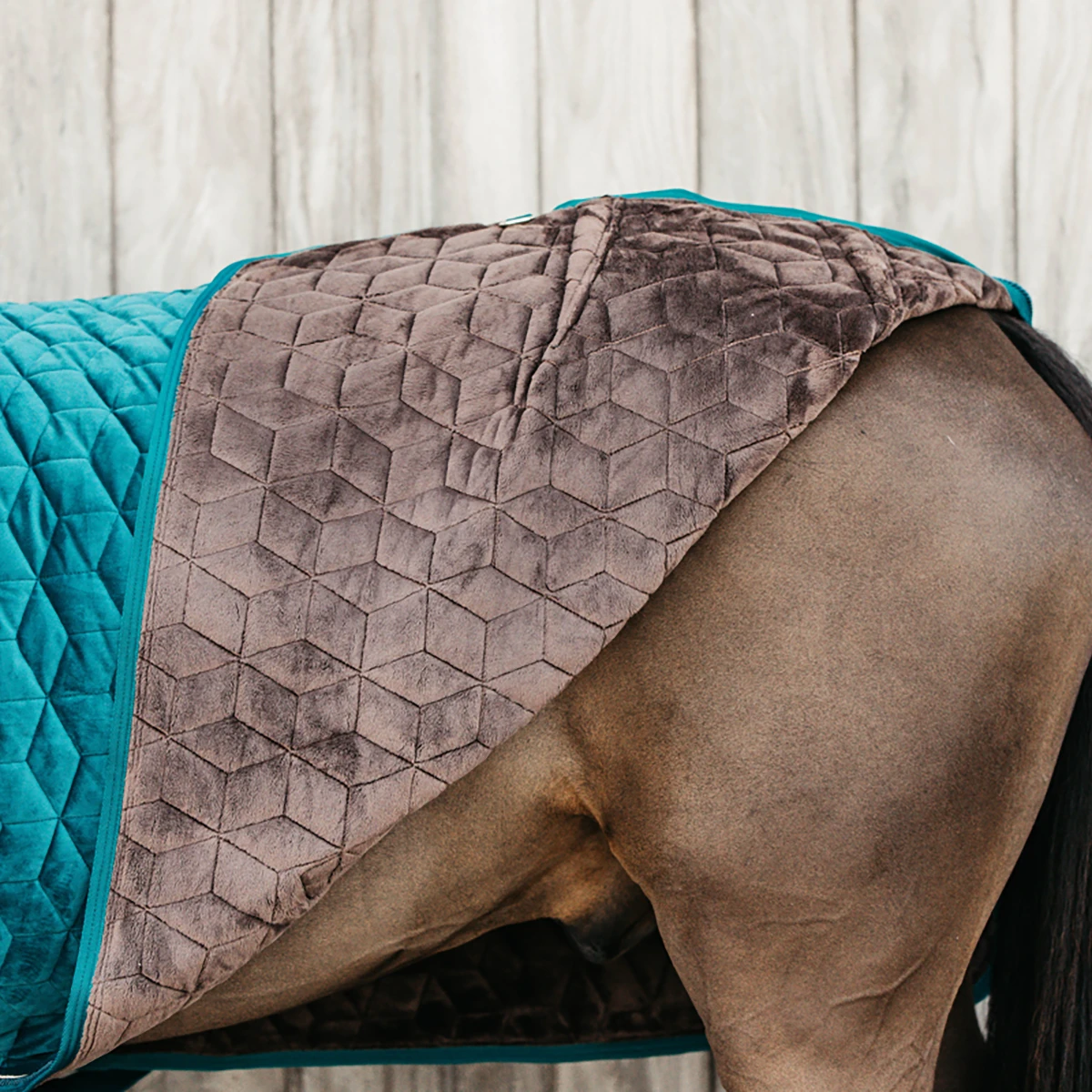 Staldeken Kentucky Velvet 160gr Groen - Afbeelding 6