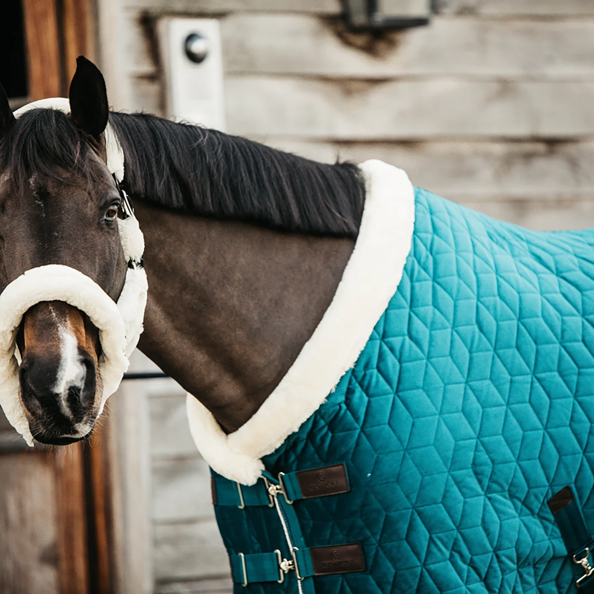 Staldeken Kentucky Velvet 160gr Groen - Afbeelding 7