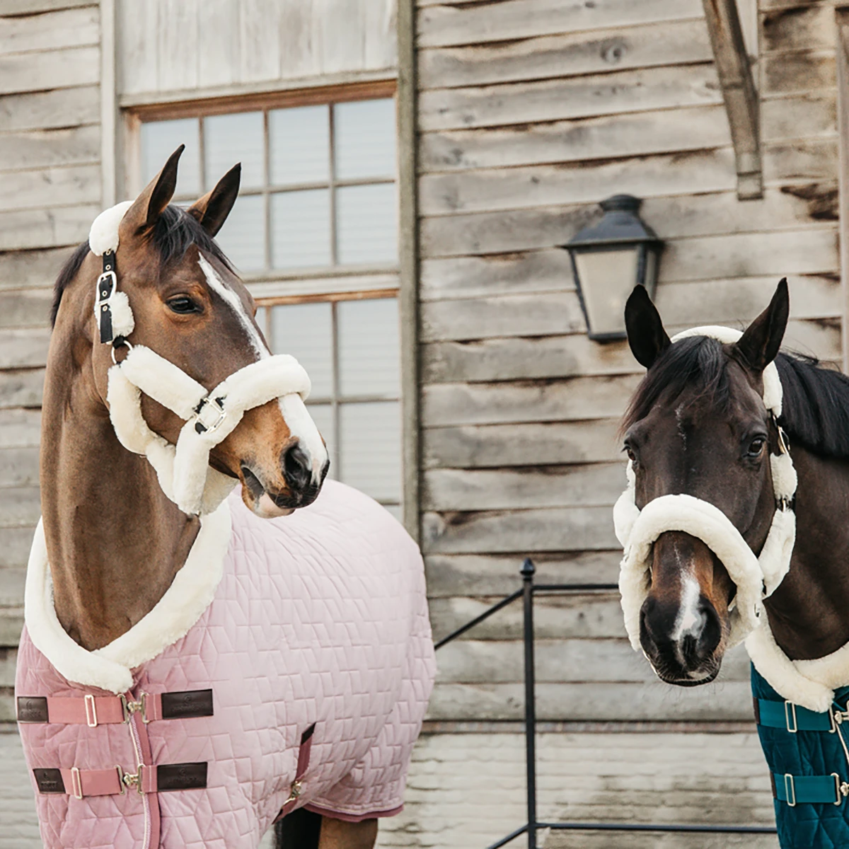 Staldeken Kentucky Velvet 160gr Roze - Afbeelding 7