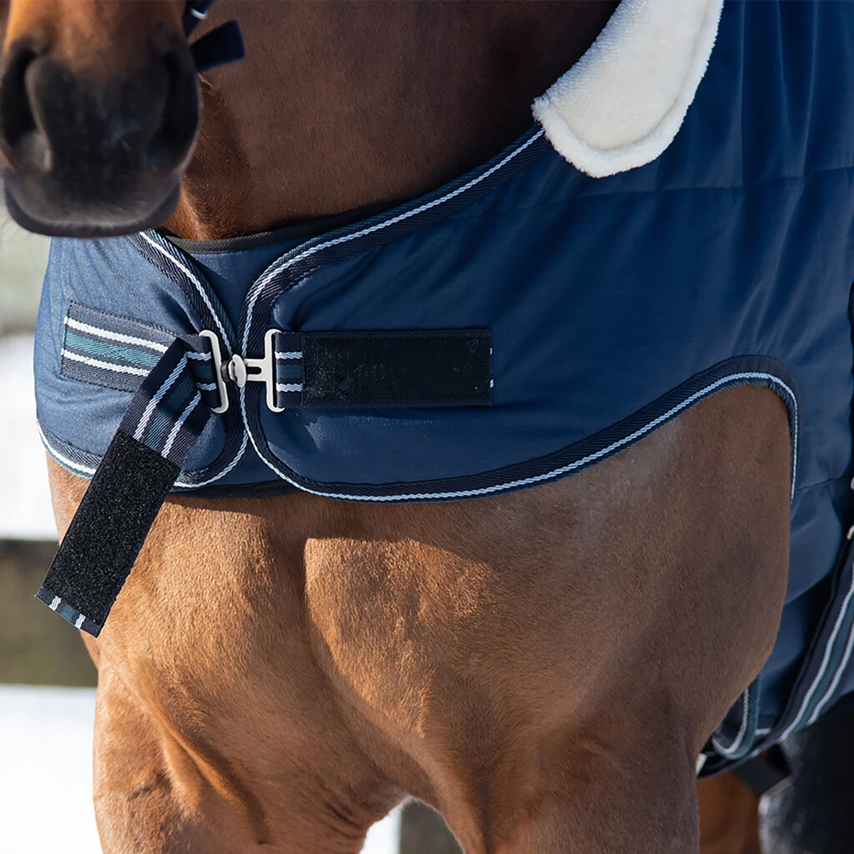 Staldeken QHP 200gr Donkerblauw - Afbeelding 2