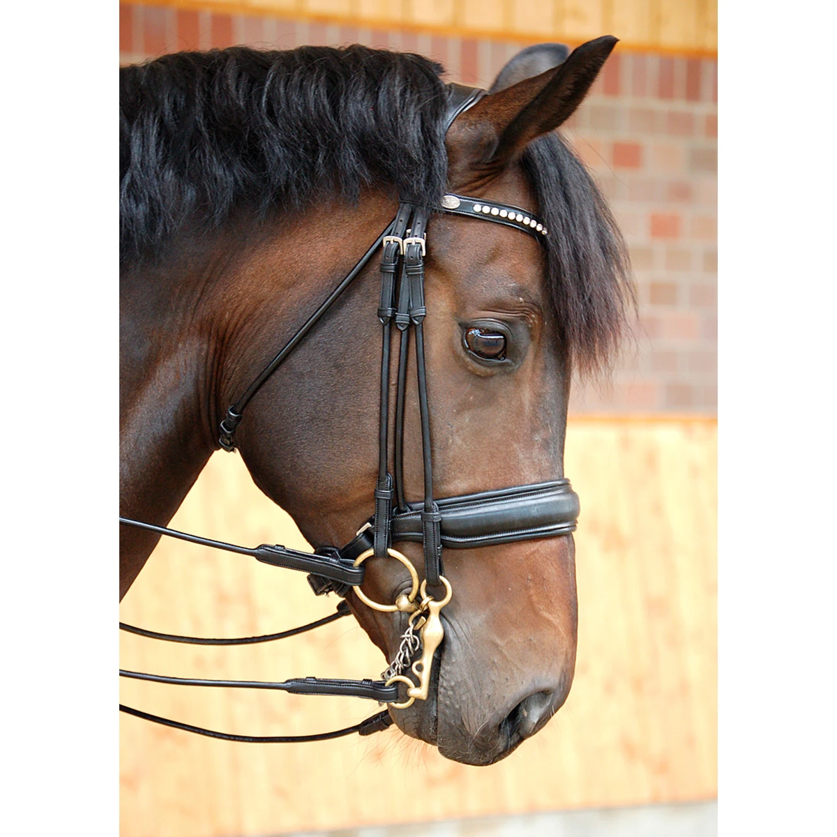 Stang En Trens Dy'on DRC Mat Black-black - Afbeelding 4