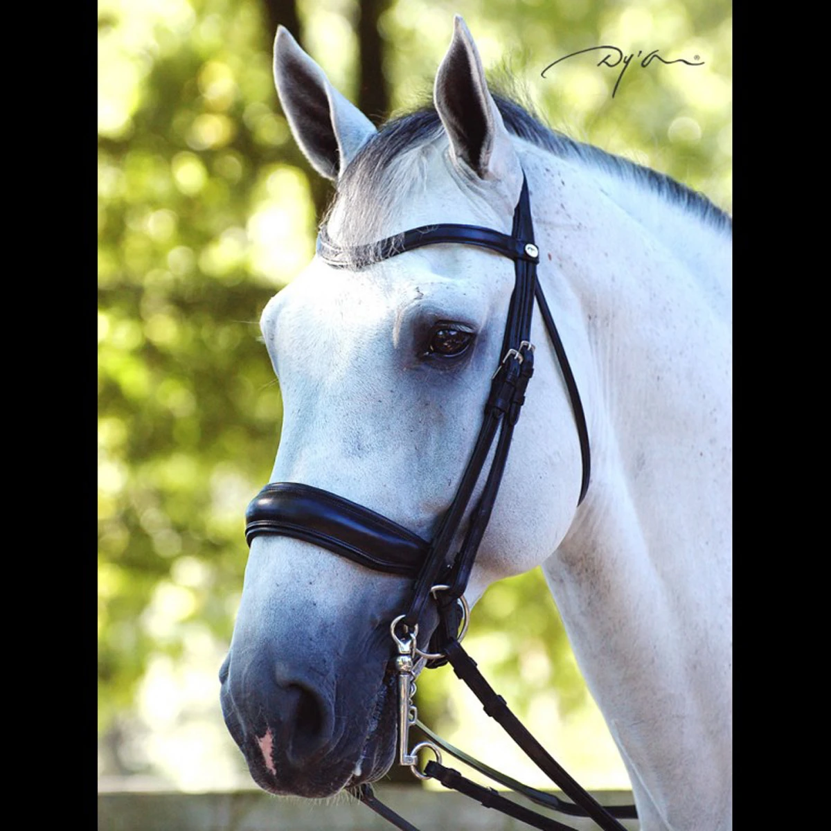 Stang En Trens Dy'on Working Collection Mat Zwart - Afbeelding 2