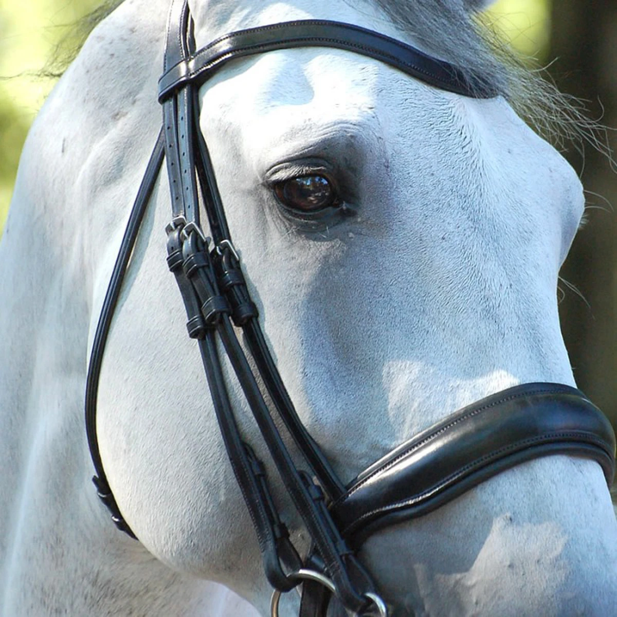 Stang En Trens Dy'on Working Collection Mat Zwart - Afbeelding 5