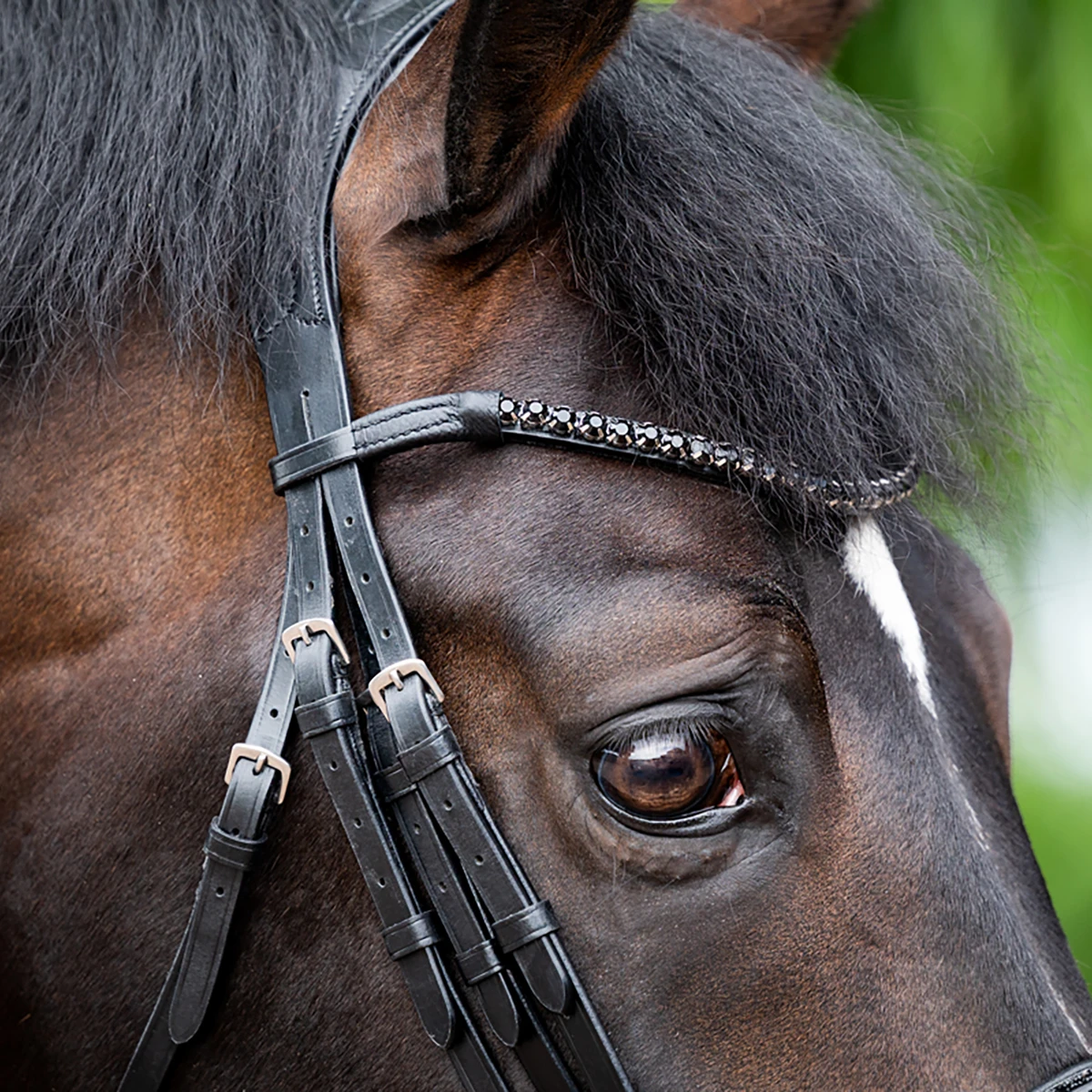 Stang En Trens HB Showtime Special For You Black-black - Afbeelding 3