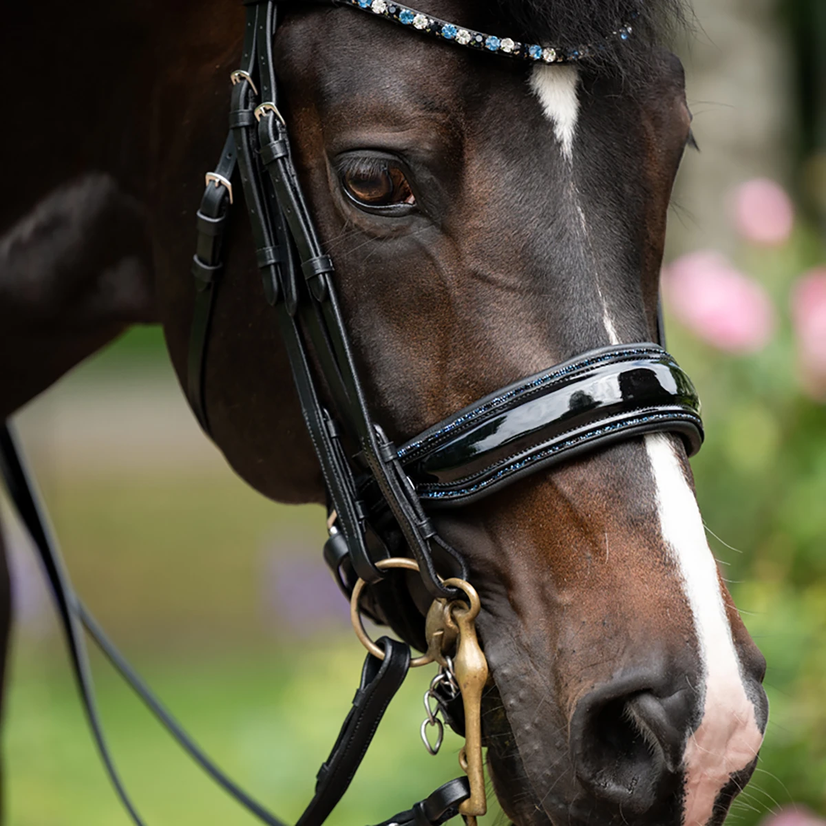 Stang En Trens HB Showtime Special For You Black-blue - Afbeelding 3