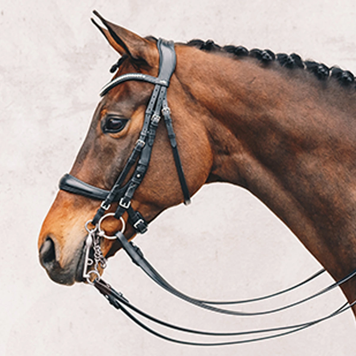 Stang En Trens Schockemöhle Equitus Gamma Zwart - Afbeelding 2