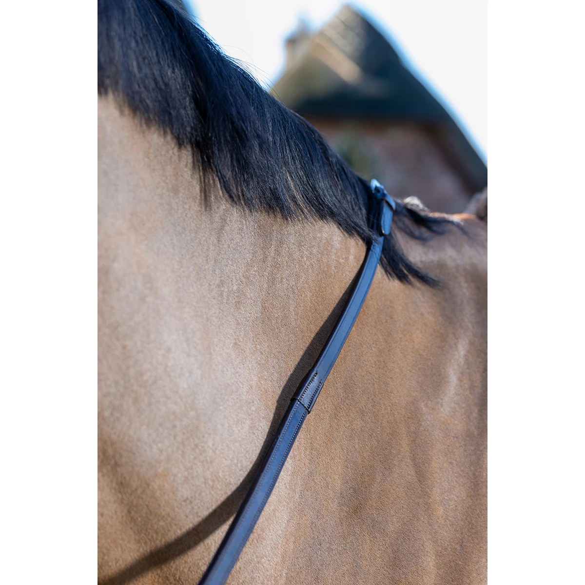 Teugels LeMieux Rubber Grip Continental Bruin-zilver - Afbeelding 2
