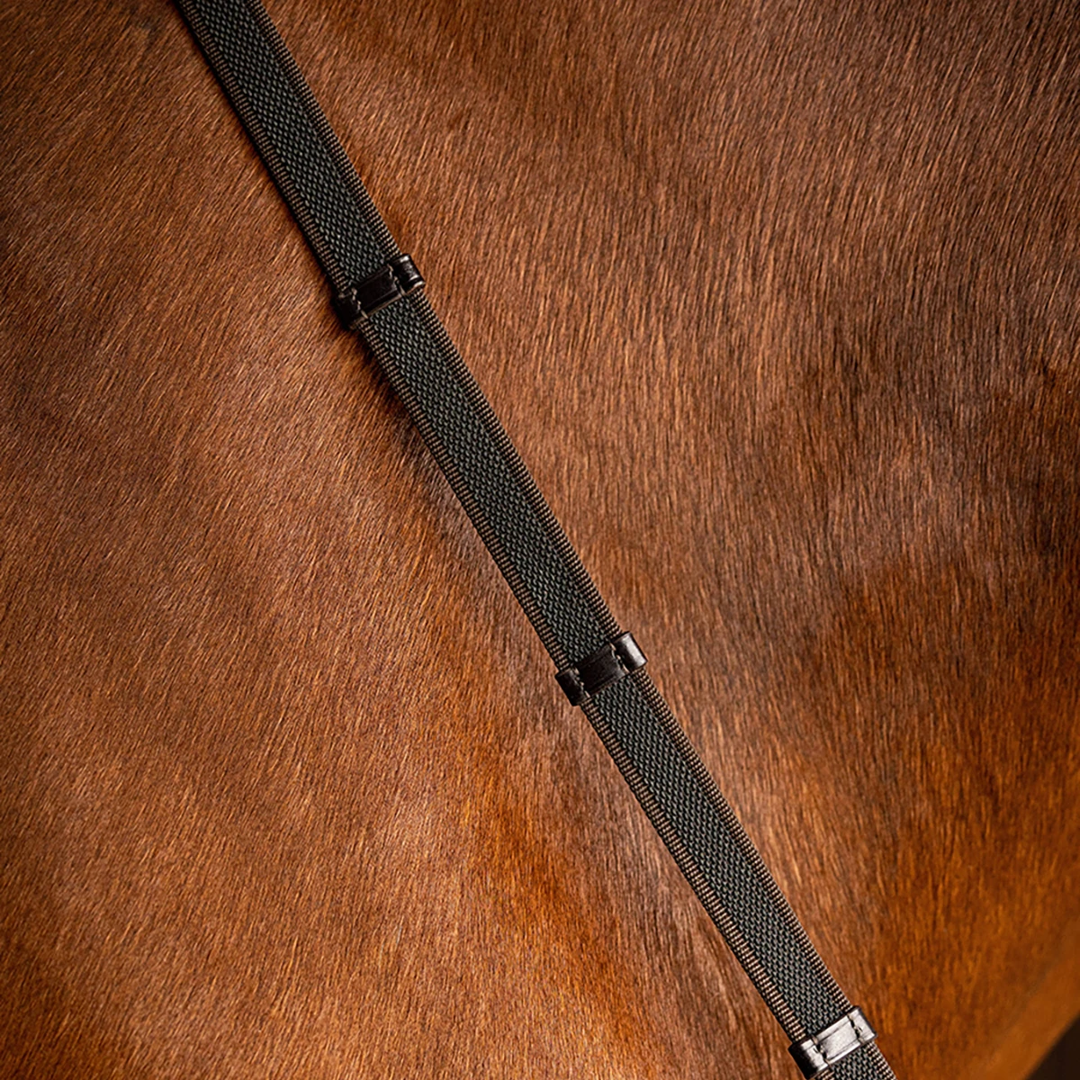 Teugels LeMieux Rubber Grip Continental Middenbruin-zilver - Afbeelding 2