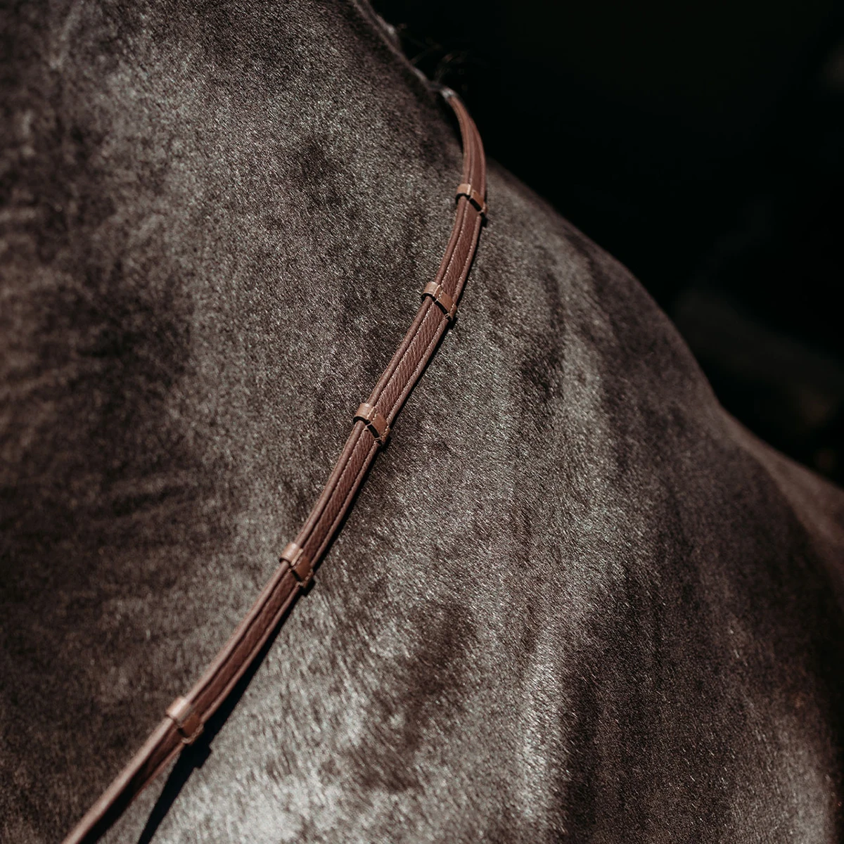 Teugels PresTeq FaySport Bruin - Afbeelding 2