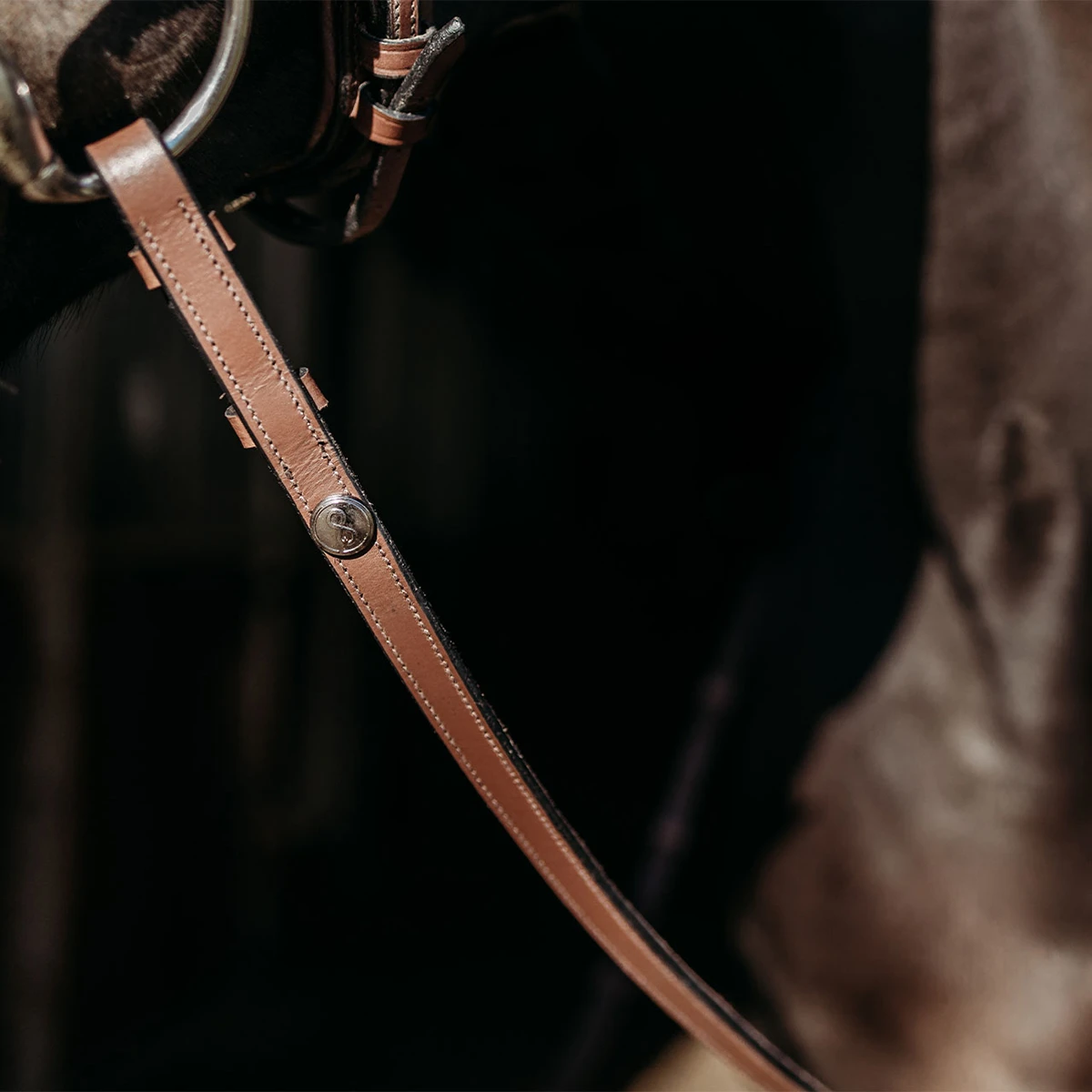 Teugels PresTeq FaySport Bruin - Afbeelding 3