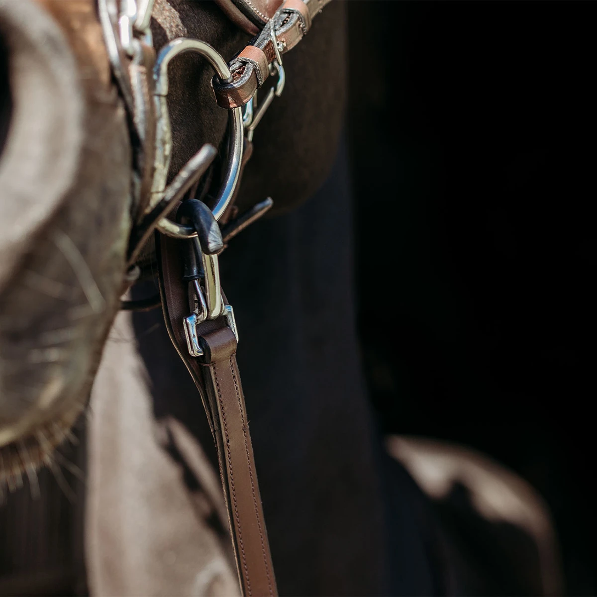 Teugels PresTeq FaySport Met Clips&Stops Bruin - Afbeelding 2