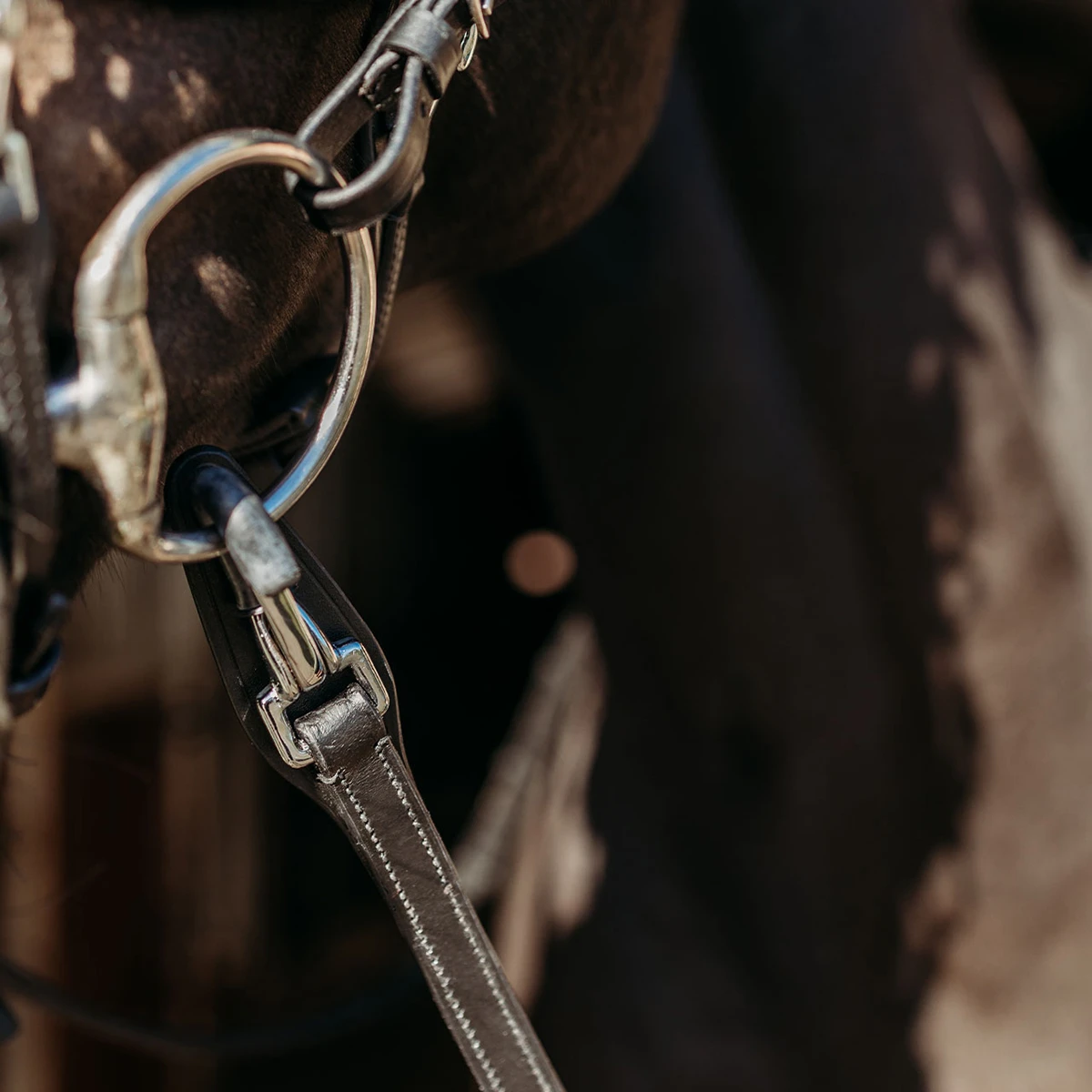 Teugels PresTeq FaySport Met Clips&Stops Zwart - Afbeelding 2