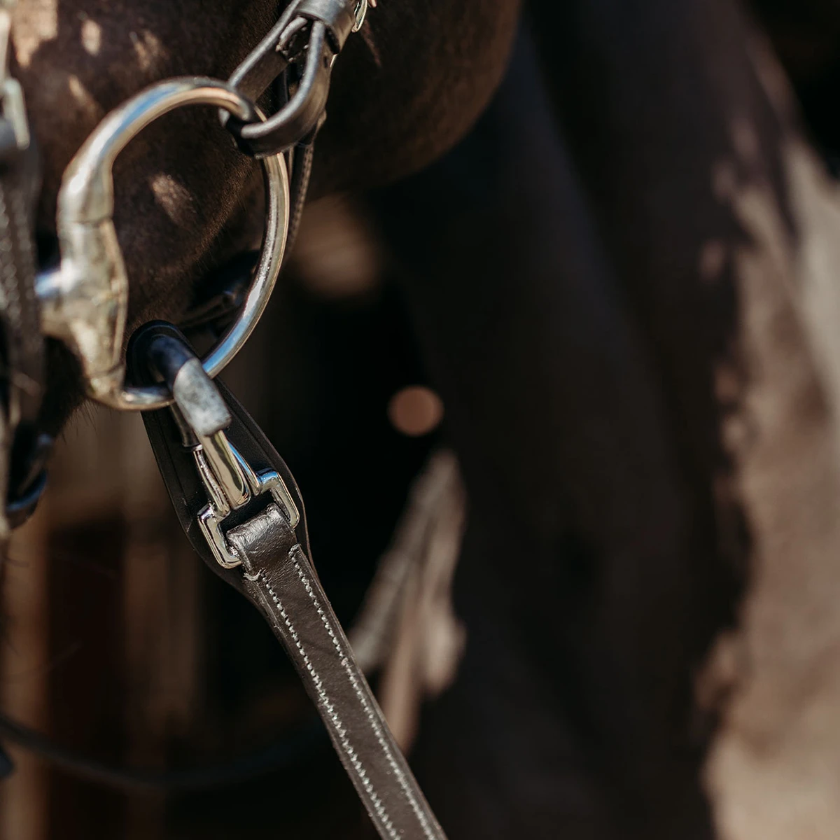 Teugels PresTeq FaySport Met Clips&Stops Zwart - Afbeelding 2