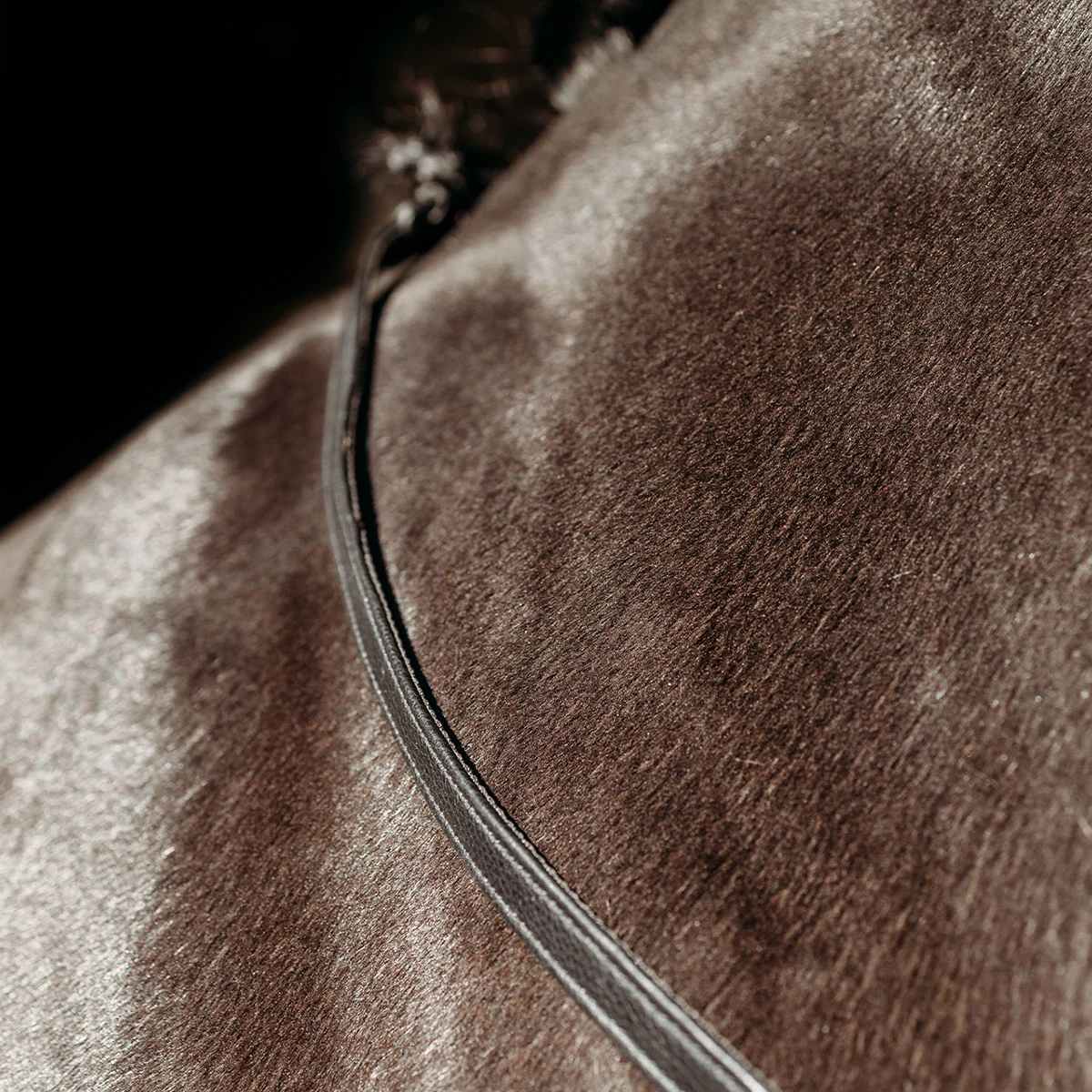 Teugels PresTeq FaySport Met Clips Zwart - Afbeelding 2