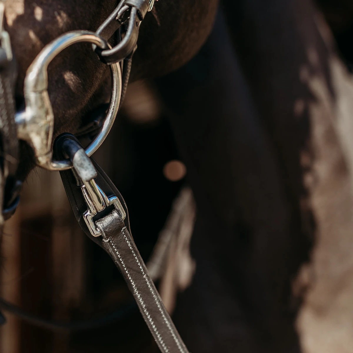 Teugels PresTeq FaySport Met Clips Zwart - Afbeelding 3