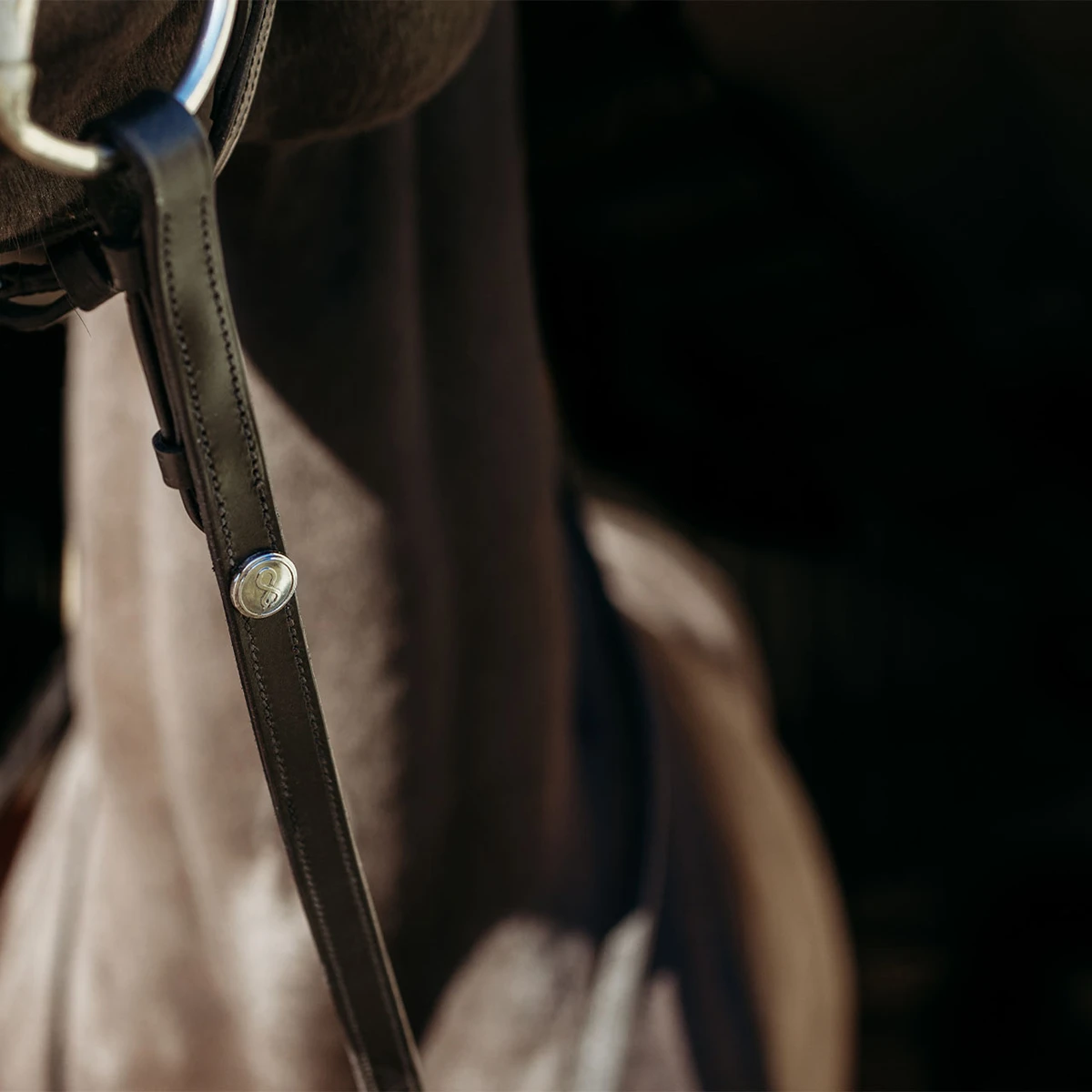 Teugels PresTeq FaySport Zwart - Afbeelding 2