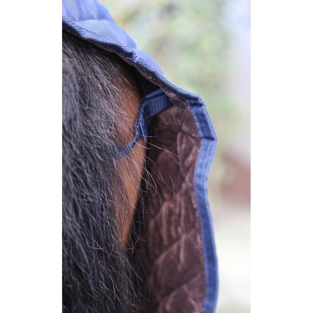 Uitrijdeken Kentucky 160gr Donkerblauw - Afbeelding 5