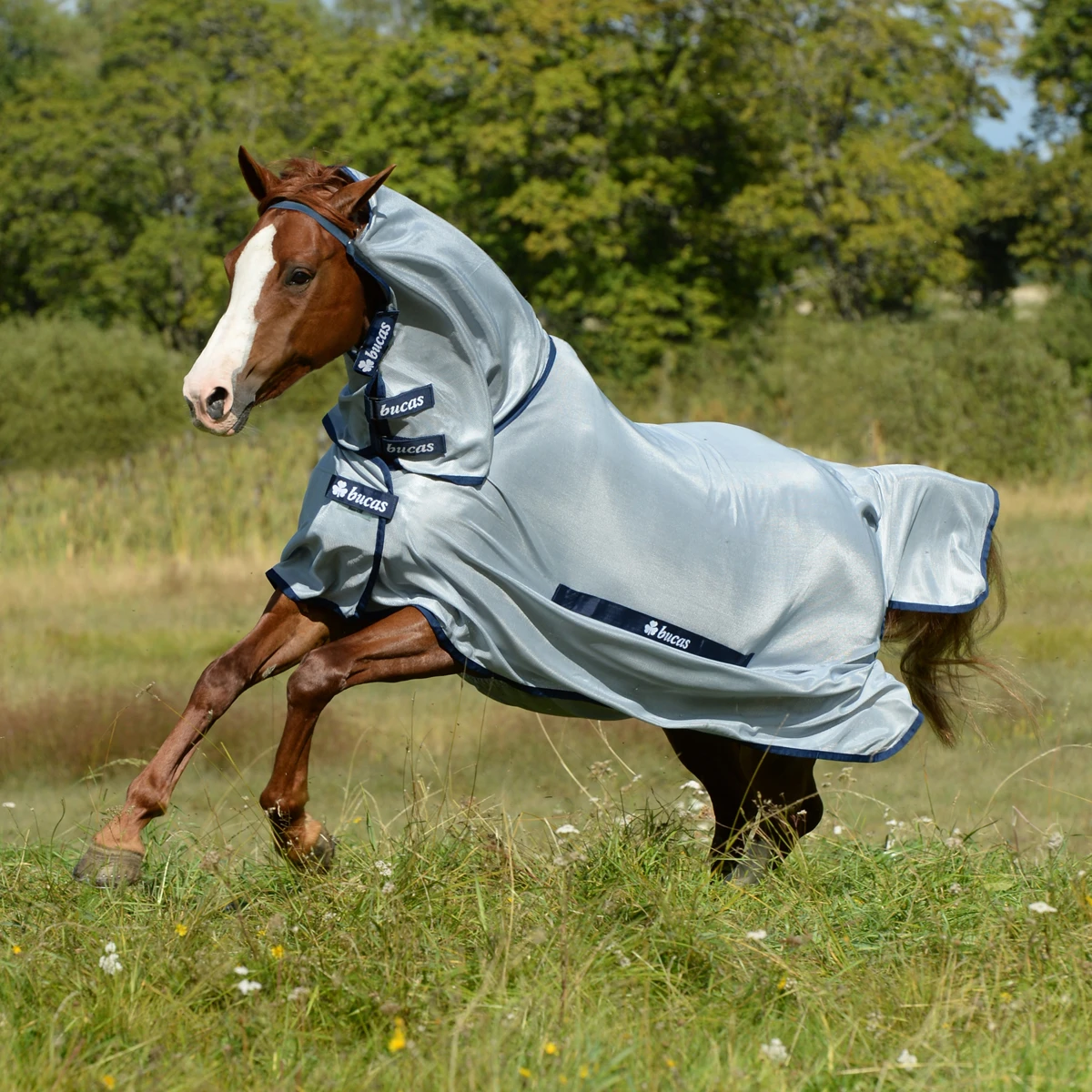 Vliegendeken Bucas Buzz-Off Full Neck Blauw - Afbeelding 2