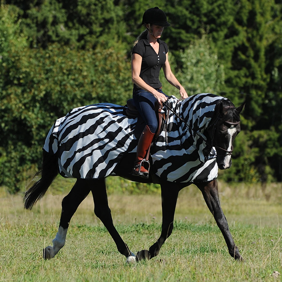 Vliegendeken Bucas Buzz Off Riding Zebra Zebra - Afbeelding 3
