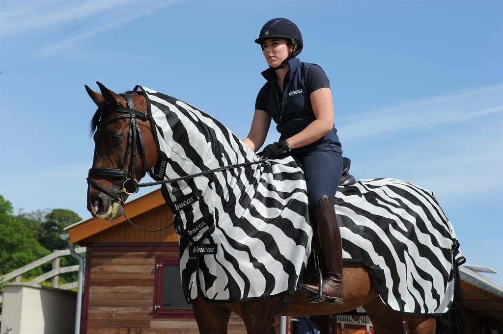 Vliegendeken Bucas Buzz Off Riding Zebra Zebra - Afbeelding 4