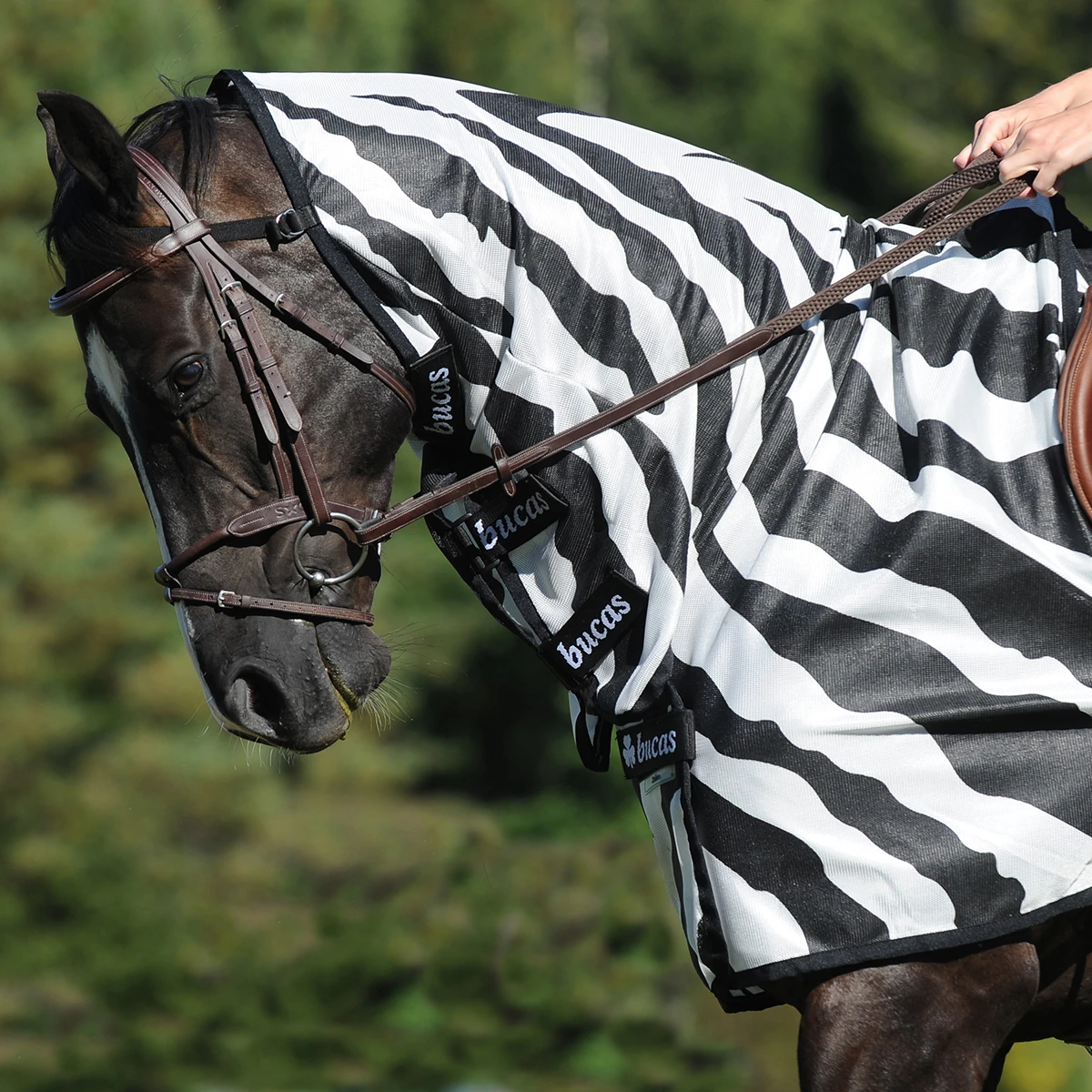 Vliegendeken Bucas Buzz Off Riding Zebra Zebra - Afbeelding 5