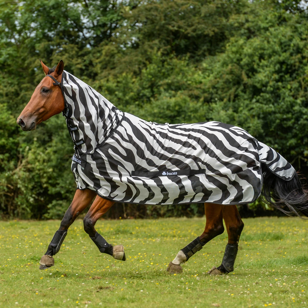 Vliegendeken Bucas Buzz-Off Zebra Full Neck Zebra - Afbeelding 3