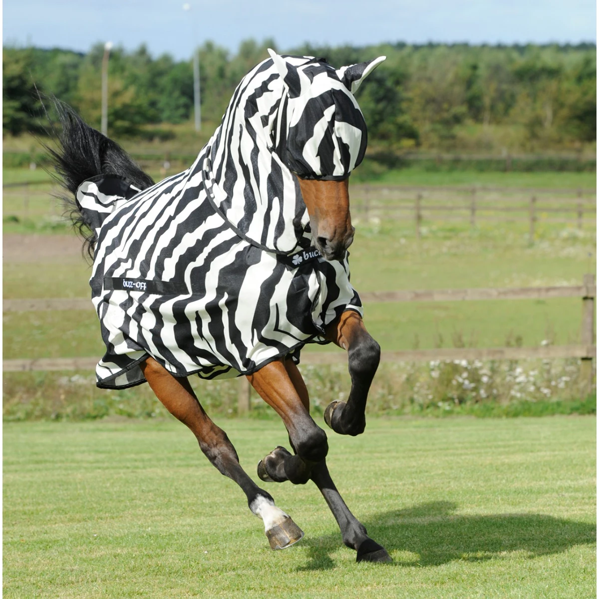 Vliegendeken Bucas Buzz-Off Zebra Full Neck Zebra - Afbeelding 6