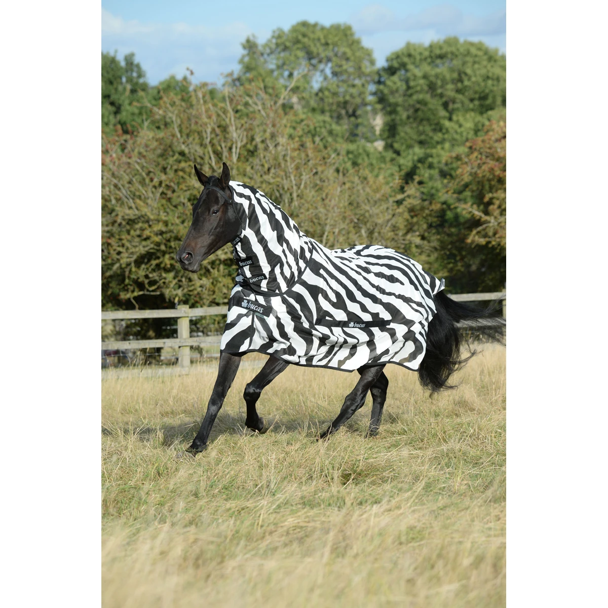 Vliegendeken Bucas Buzz-Off Zebra Full Neck Zebra - Afbeelding 7