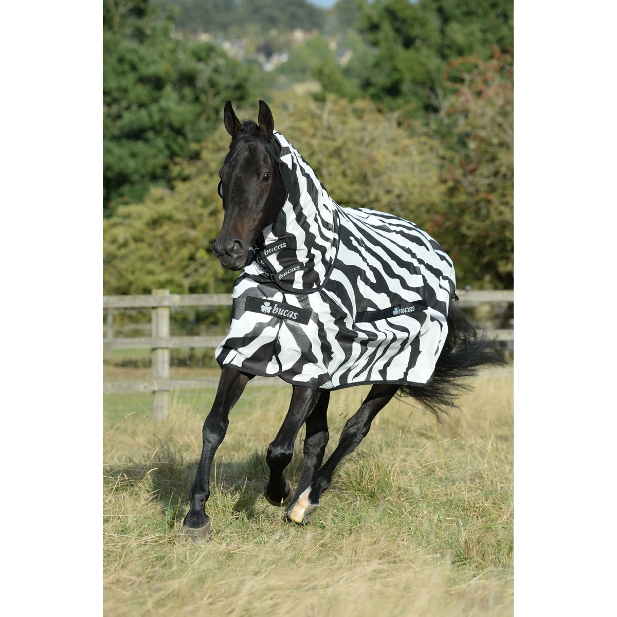 Vliegendeken Bucas Buzz-Off Zebra Full Neck Zebra - Afbeelding 8
